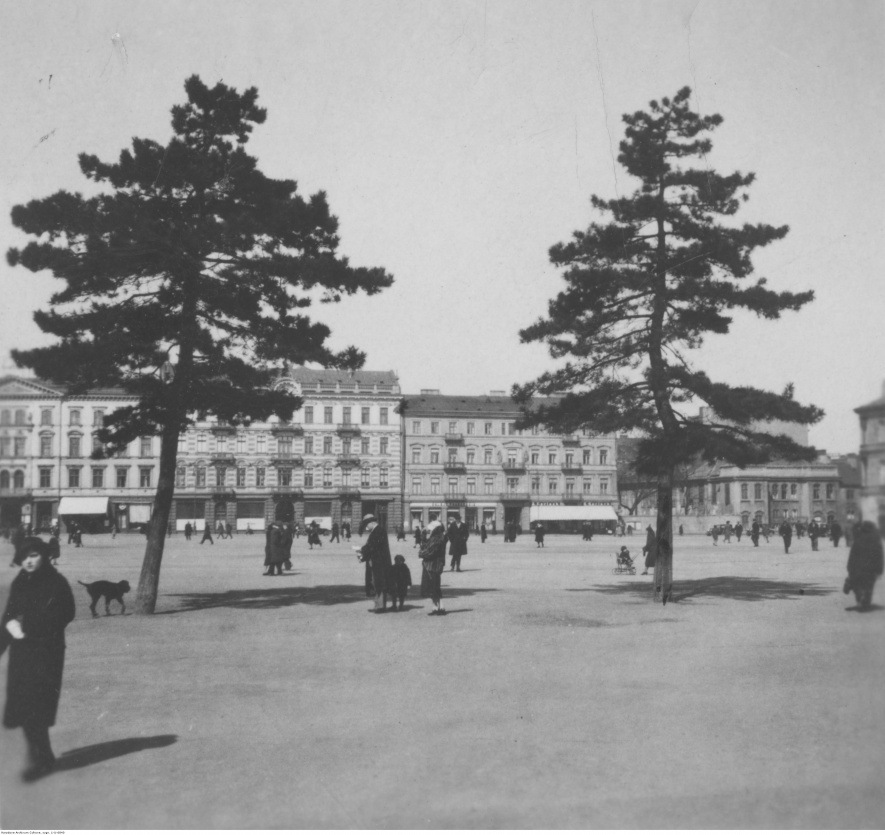 Sosny na placu, 1935, Narodowe Archiwum Cyfrowe: 1-U-6840